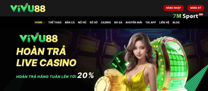 Điểm mạnh và điểm hạn chế tại nhà cái Điểm mạnh và điểm hạn chế tại nhà cái