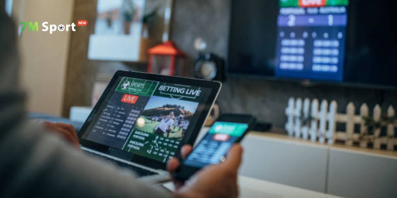 Giải đáp nhanh các thắc mắc phổ biến tại 7M Giải đáp nhanh các thắc mắc phổ biến tại 7M