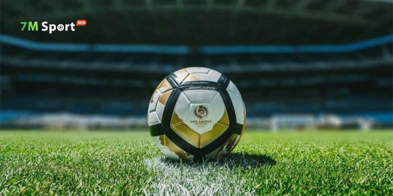 Những ưu điểm vượt trội chỉ có tại trang tin tức thể thao 7M bạn đã biết? Những ưu điểm vượt trội chỉ có tại trang tin tức thể thao 7M bạn đã biết?