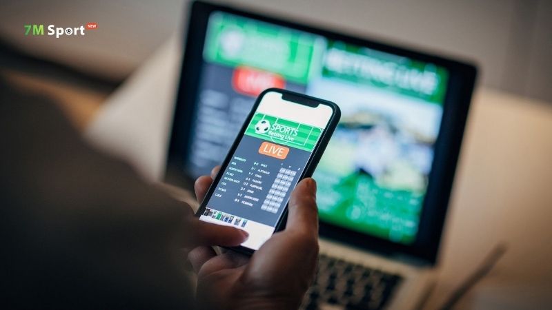 Về chúng tôi 7M Về chúng tôi 7M