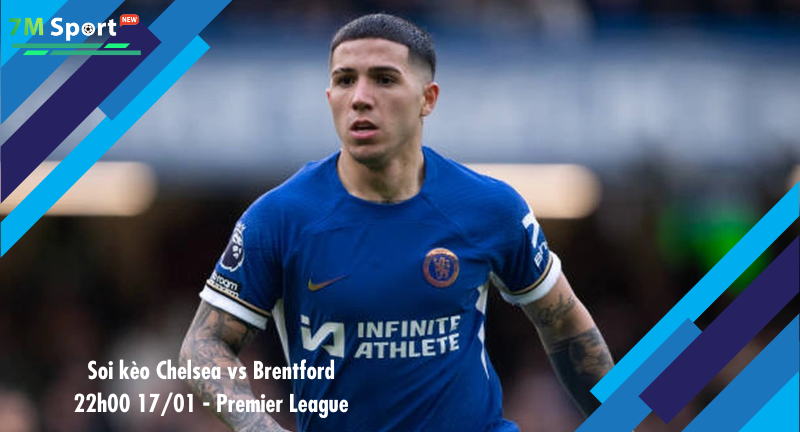 Đội hình dự kiến trước trận Chelsea vs Brentford Đội hình dự kiến trước trận Chelsea vs Brentford