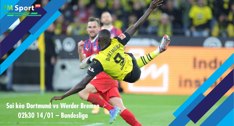 Đội hình dự kiến trước trận Dortmund vs Werder Bremen Đội hình dự kiến trước trận Dortmund vs Werder Bremen