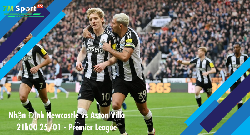 Đội hình dự kiến trước trận Newcastle vs Aston Villa Đội hình dự kiến trước trận Newcastle vs Aston Villa